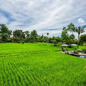 4* Vakantiepark Kajane Yangloni At Bali